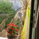 Spiraglio Bed & Breakfast Syracuse