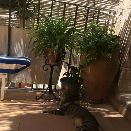 לינה וארוחת בוקר Spiraglio