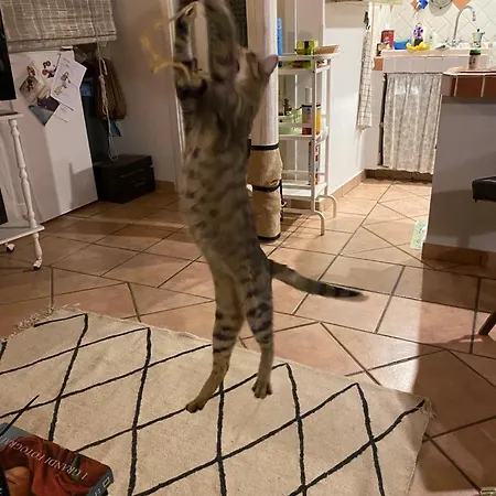 Spiraglio Bed & Breakfast Syracuse