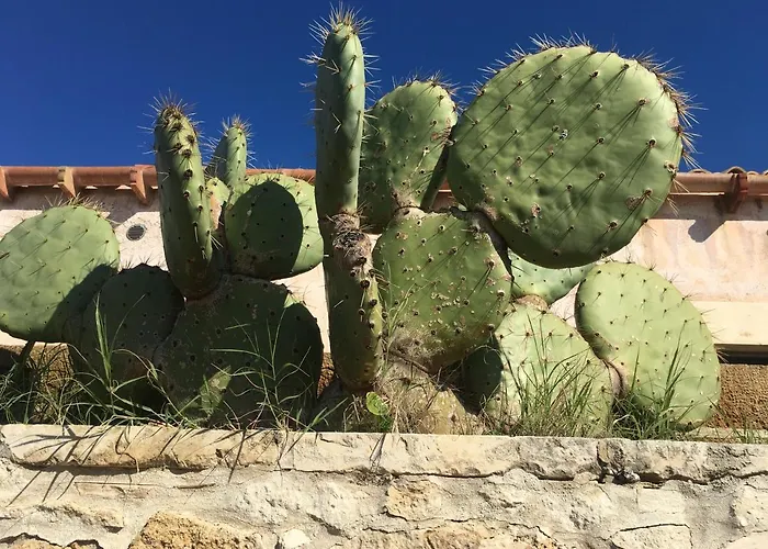 Bed & Breakfast Spiraglio 3*