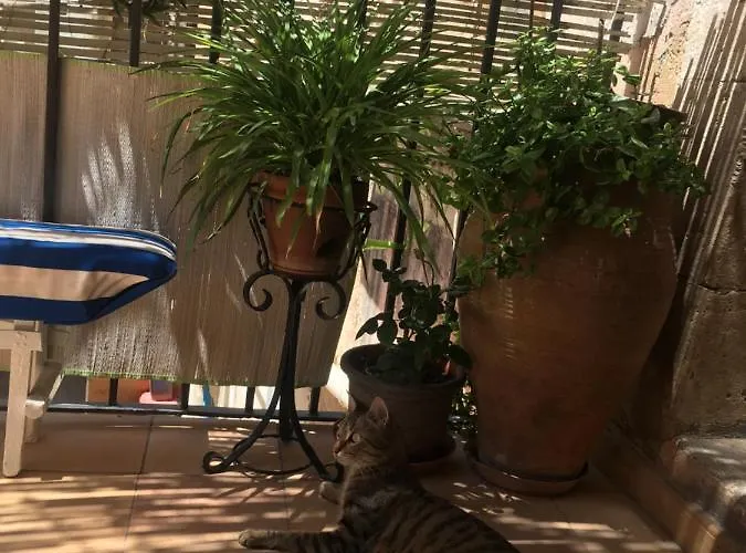 Bed & Breakfast Spiraglio