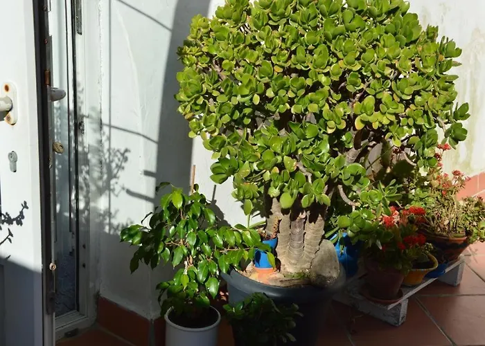 Spiraglio Bed & Breakfast 3*