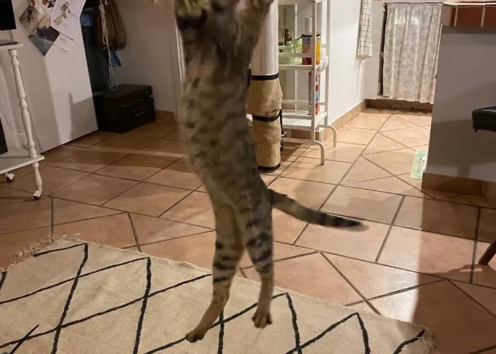 Spiraglio Bed and Breakfast Συρακούσες