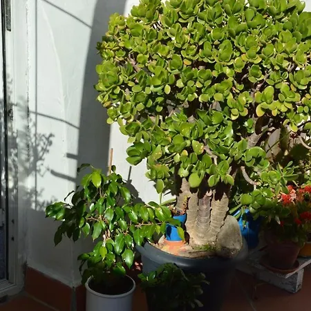Spiraglio Bed & Breakfast *