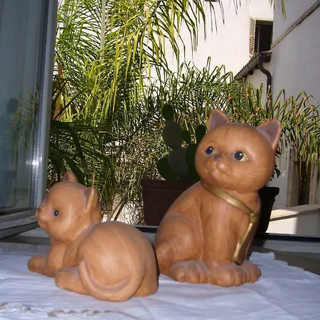 Bed & Breakfast Spiraglio Syracuse